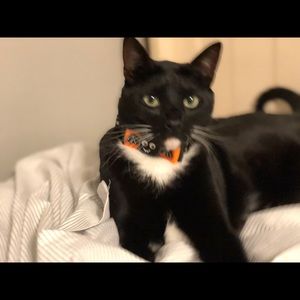 Meet your Posher, Samangha